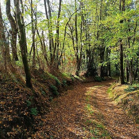 Cap Nature - T3 Et T4 En Perigord Vert - Ideal Pros Et Groupes Max 18P Champniers-et-Reilhac Dış mekan fotoğraf