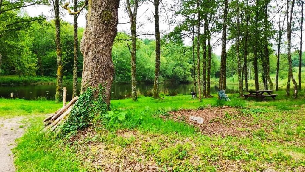 Cap Nature - T3 Et T4 En Perigord Vert - Ideal Pros Et Groupes Max 18P Champniers-et-Reilhac Dış mekan fotoğraf